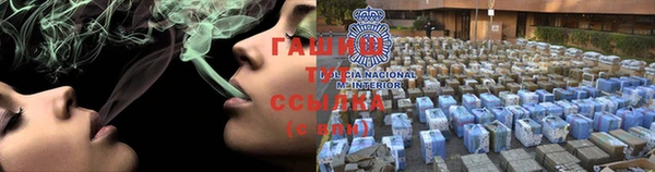 хмурый Алексин