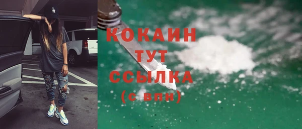 хмурый Алексин