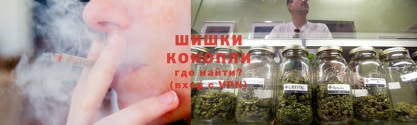 гидра Алексеевка
