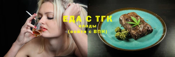 хмурый Алексин