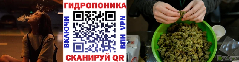 МАРИХУАНА ГИДРОПОН Сортавала